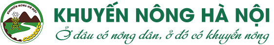 Khuyến nông Hà Nội