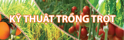 Kỹ thuật trồng trọt