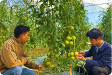 Hỗ trợ thông tin, truyền thông về khuyến nông 